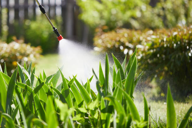 24/7 Emergency Mosquito Control experts in Milam, TX